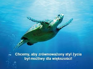 Lumarko Frosch Balsam Do Naczyń Worek 1l.. 2