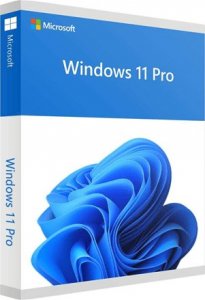 System operacyjny Microsoft SW OEM WIN 11 PRO 64B/LV 1PK DVD FQC-10541 MS 1