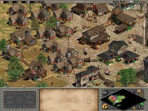 Age of Empires Edycja Kolekcjonerska PC 3