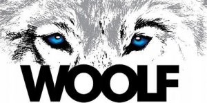 WOOLF  Woolf Earth Noohide Stick Lamb Przysmak Dla Psa Jagnięcina Rozmiar S 85 g 3