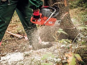 Piła łańcuchowa Oleo-Mac GS 651 Profi 5.2 KM 63.4 cm3 46 cm 11