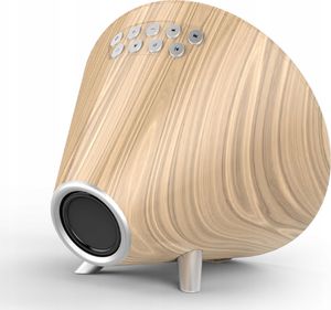 Stacja pogodowa NASA NASA Stacja Pogody Pogodowa Radio Głośnik WSP1700 5