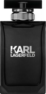 Karl Lagerfeld Pour Homme EDT 100 ml 1