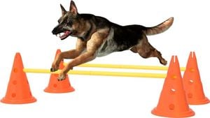 vidaXL Zestaw przeszkód treningowych dla psa, pomarańczowo-żółty 1