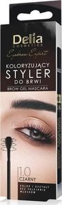 Delia Delia Cosmetics Eyebrow Expert Koloryzujący Styler do brwi 1.0 czarny 11ml 1