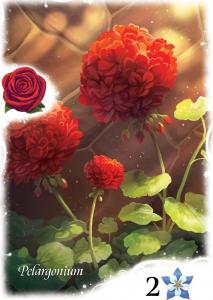 Rebel Gra planszowa Tajemniczy ogród 13