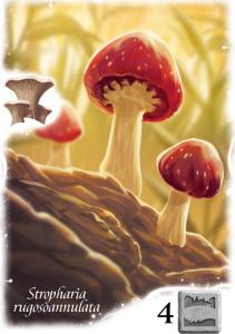 Rebel Gra planszowa Tajemniczy ogród 14