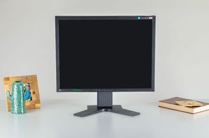 Monitor Eizo FlexScan S2100 2