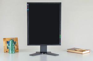 Monitor Eizo FlexScan S2100 8