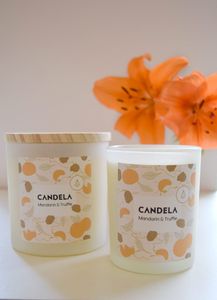 Candela Mandarin & Truffle 360ml 1