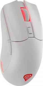 Mysz Genesis  (NMG-1843) 11