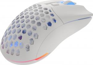 Mysz Genesis  (NMG-1843) 15