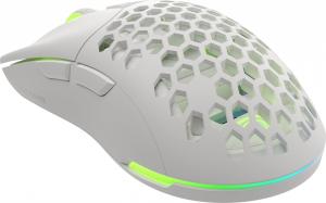 Mysz Genesis  (NMG-1843) 5