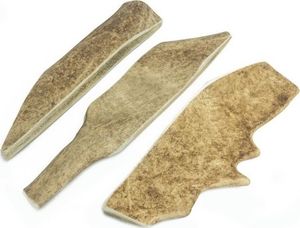 4DOGS Gryzak z poroża daniela XL (hard) 2