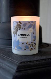 Candela Elderberry 240ml 1