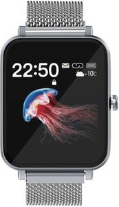 Smartwatch Havit H1103A Srebrny  (HVT107GRY) 1