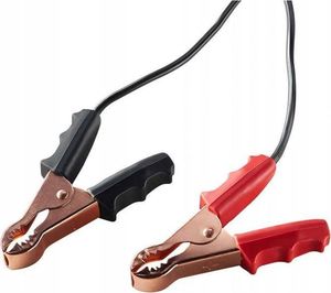 Prostownik Samochodowy do Akumulatorów 6V/12V AEG 6A 3