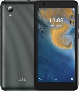 Smartfon ZTE Blade A31 Lite 1/32GB Szary  (JAB-7137970) 1