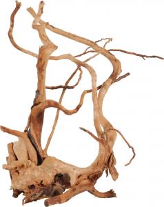 Zolux Korzeń japoński Spider Wood 40-50 cm 1