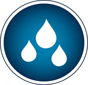 Szczoteczka Berdsen Sonica B3 Biała 7