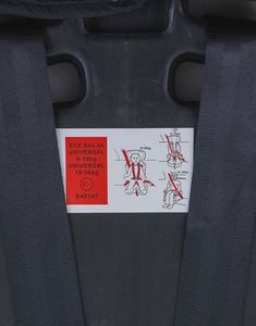 Fotelik samochodowy Summer Baby Fotelik samochodowy Sport 9 - 36 kg Niebieski 5