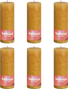 Bolsius Bolsius Rustykalne świece pieńkowe Shine, 6 szt., 190x68 mm, miodowe 1