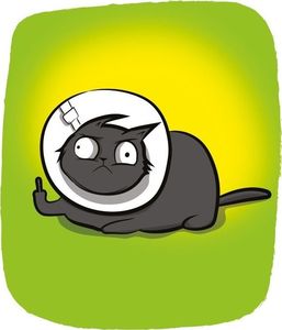 Rebel Eksplodujące Kotki: Edycja tylko dla dorosłych 11