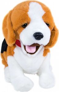 Madej Maskotka interaktywna Figo Pies reagujący na komendy Beagle 1