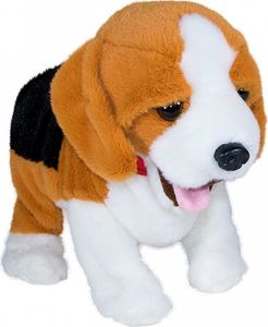 Madej Maskotka interaktywna Figo Pies reagujący na komendy Beagle 2