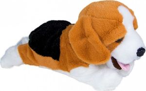 Madej Maskotka interaktywna Figo Pies reagujący na komendy Beagle 4