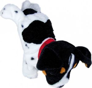 Madej Maskotka interaktywna Figo Pies reagujący na komendy Jack Russel Terrier 6