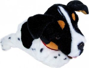 Madej Maskotka interaktywna Figo Pies reagujący na komendy Jack Russel Terrier 3