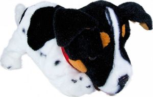 Madej Maskotka interaktywna Figo Pies reagujący na komendy Jack Russel Terrier 4