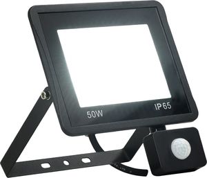 Naświetlacz vidaXL Reflektor LED z czujnikiem, 50 W, zimne białe światło 1