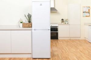 Lodówka Indesit CAA 55 1 2