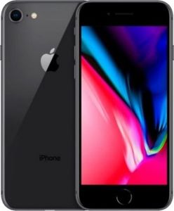 Smartfon Apple iPhone 8 2/256GB Czarny Klasa A 1