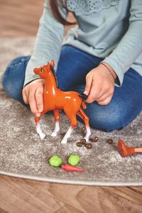 Simba Steffi z kucykiem robiącym kupkę 4