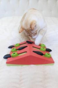 NINA OTTOSON CAT PUZZLE AND PLAY Level:2 6