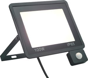 Naświetlacz vidaXL Reflektor LED z czujnikiem, 100 W, zimne białe światło 1