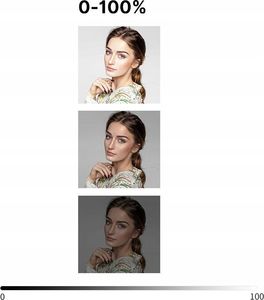 Ulanzi Lampa Video Bi-color 200 Led 5000mah Vl200 4