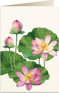 Tassotti Karnet B6 + koperta 5930 Kwiat lotosu 1