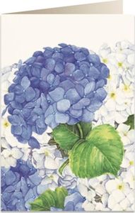 Tassotti Karnet B6 + koperta 5549 Niebieska hortensja 1