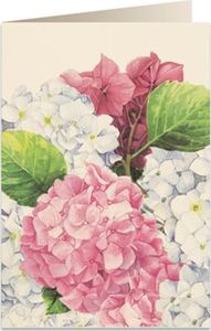 Tassotti Karnet B6 + koperta 5548 Różowa hortensja 1