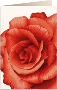 Tassotti Karnet B6 + koperta 5676 Czerwona róża 1