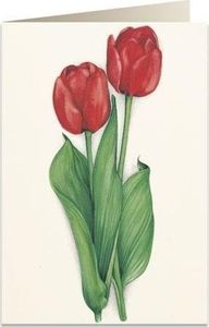 Tassotti Karnet B6 + koperta 7517 Czerwone tulipany 1