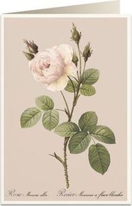 Tassotti Karnet B6 + koperta 6065 Różowa róża 1
