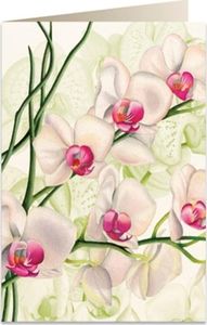 Tassotti Karnet B6 + koperta 5723 Biała orchidea 1