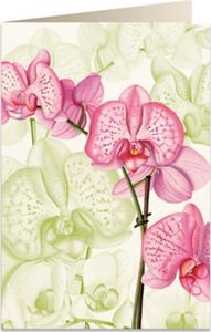 Tassotti Karnet B6 + koperta 5722 Różowa orchidea 1
