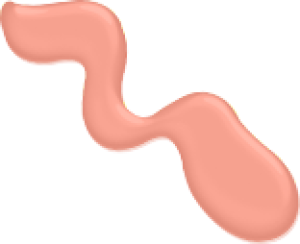 Astor  Perfect Stay Gel Color nr 12 12ml 2