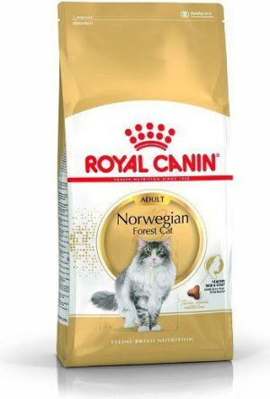 Royal Canin Norwegian Adult 10 kg 1